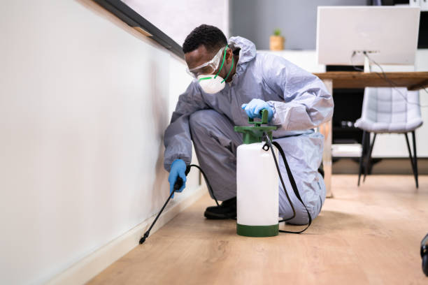 Emergency Pest Control Services in Wernersville, PA